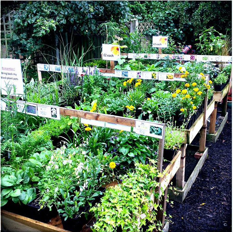 urban roots plant sale leeds